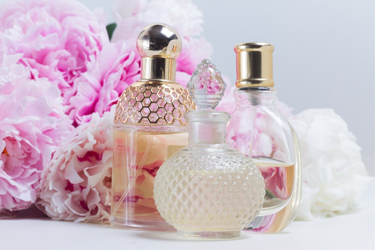 Ravtar Shop fashion collection